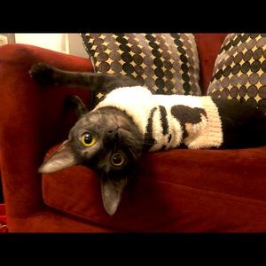 SALE - $10 (3 for $20) & $14 (2 for $22)